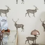 The Peak Hostel *